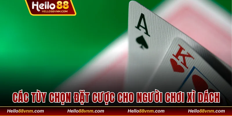 Các tùy chọn đặt cược cho người chơi Xì Dách