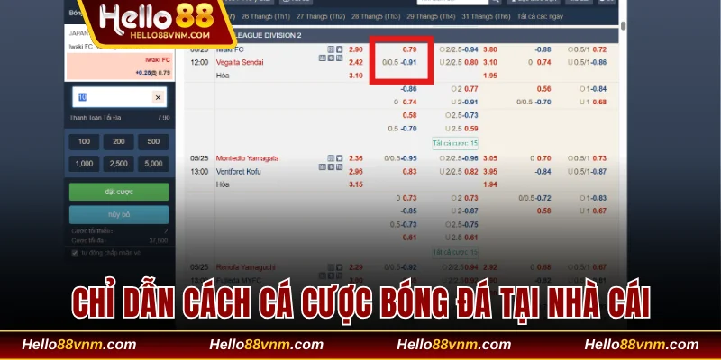 Chỉ dẫn cách cá cược bóng đá tại nhà cái