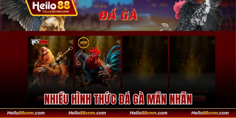 Đá gà cung cấp nhiều hình thức so tài mãn nhãn