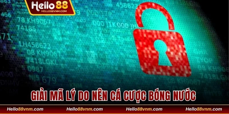 Giải mã lý do nên cá cược bóng nước