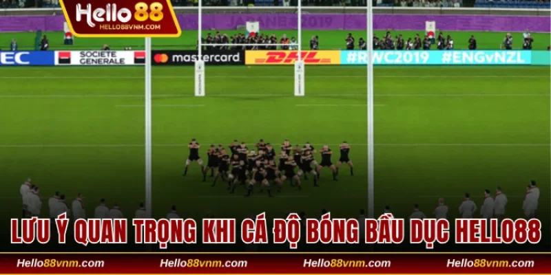 Lưu ý quan trọng khi cá độ bóng bầu dục tại Hello88