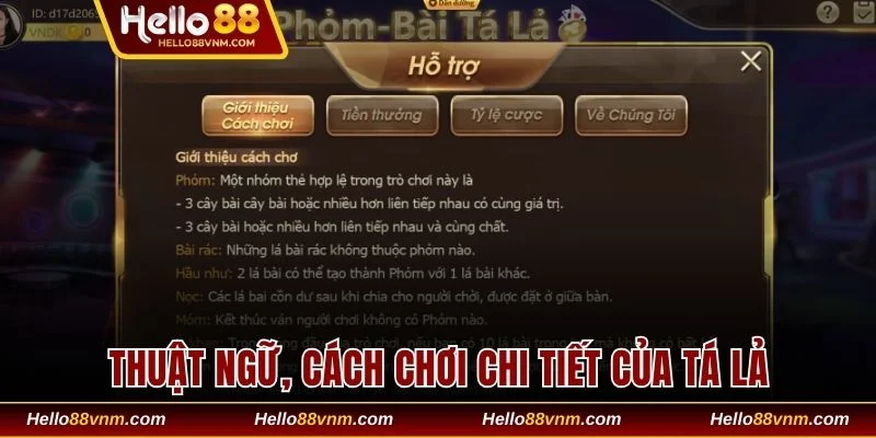 Thuật ngữ, cách chơi và luật tính điểm trong trò chơi tá lả 