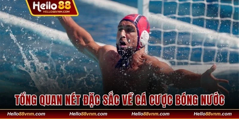 Tổng quan nét đặc sắc về cá cược bóng nước